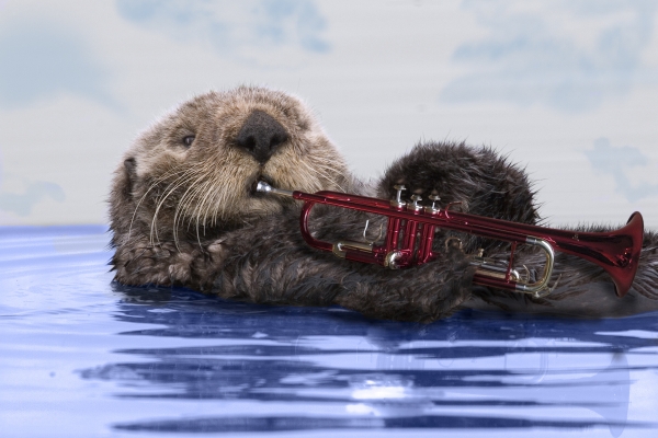 Creation of Blues Jazz Otter: Step 4